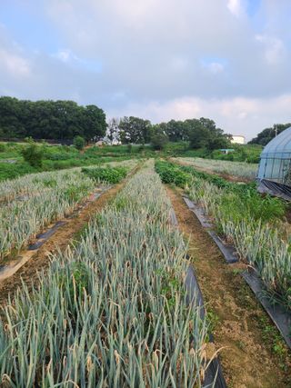 이뿐간장님의 자유주제 · 자유게시판 작성글 사진