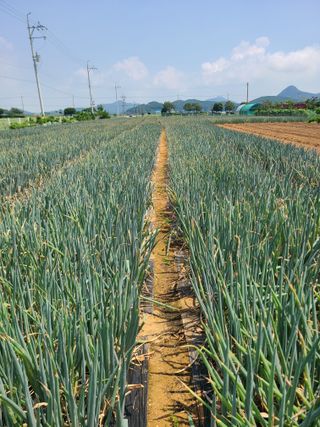 이뿐간장님의 자유주제 · 자유게시판 작성글 사진