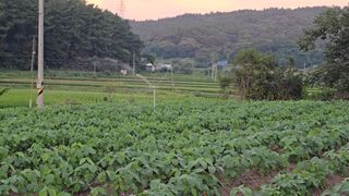 藝園님의 콩 · 영농일지 작성글 사진