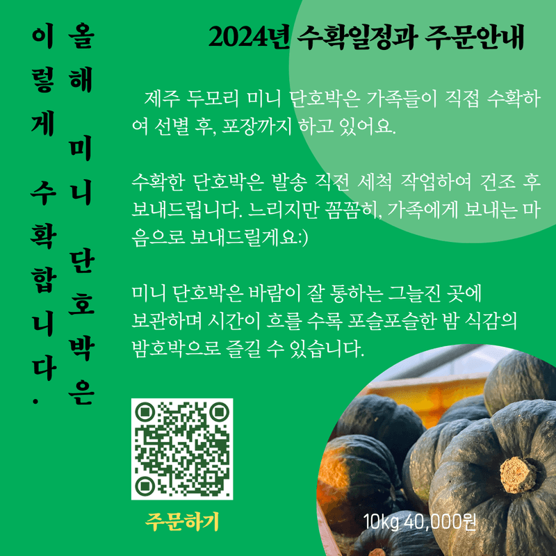 고주희님의 장터 판매 상품 [미니 단호박 10kg] 첨부 사진