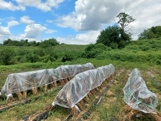 한태훈님의 자유주제 · 자유게시판 작성글 사진