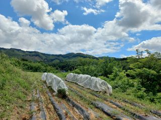 한태훈님의 자유주제 · 자유게시판 작성글 사진
