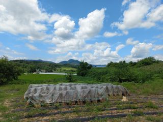 한태훈님의 자유주제 · 자유게시판 작성글 사진