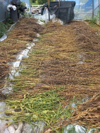 한태훈님의 자유주제 · 자유게시판 작성글 사진