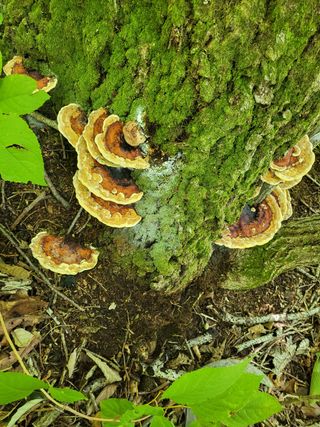 농촌환경을살리는사람님의 팜모닝 · 출석 작성글 사진