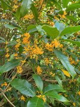 팜모닝 팜모닝·출석 게시글 이미지