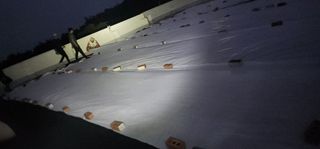 고추농사 정 미라님의 자유주제 · 자유게시판 작성글 사진