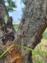 팜모닝 자유주제·자유게시판 게시글 이미지