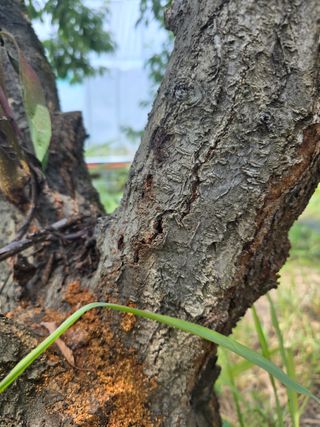 이원희님의 자유주제 · 자유게시판 작성글 사진