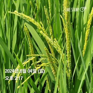 송석래님의 요즘 무엇에 관심있나요? · 참여글 작성글 사진