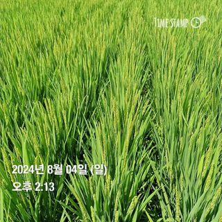 송석래님의 요즘 무엇에 관심있나요? · 참여글 작성글 사진