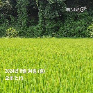 송석래님의 요즘 무엇에 관심있나요? · 참여글 작성글 사진