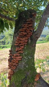 팜모닝 자유주제·자유게시판 게시글 이미지