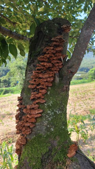 이현행님의 자유주제 · 자유게시판 작성글 사진