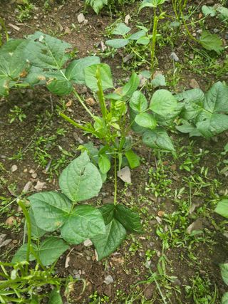 farmer님의 자유주제 · 자유게시판 작성글 사진