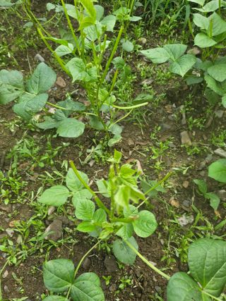 farmer님의 자유주제 · 자유게시판 작성글 사진