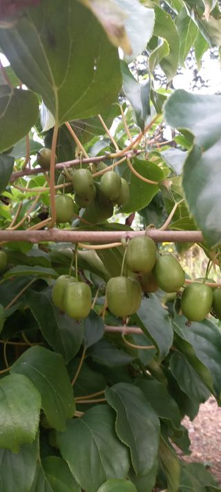 장만월님의 자유주제 · 자유게시판 작성글 사진