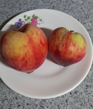 장만월님의 자유주제 · 자유게시판 작성글 사진