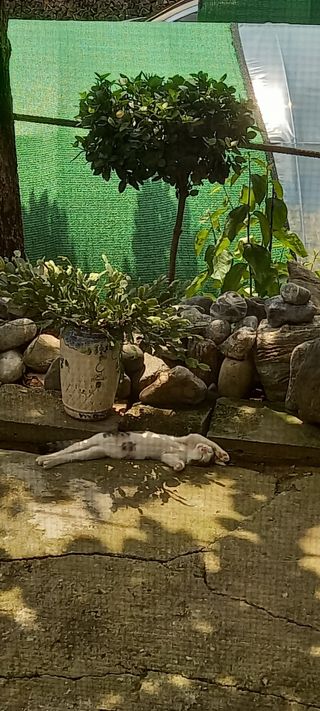 장만월님의 자유주제 · 자유게시판 작성글 사진