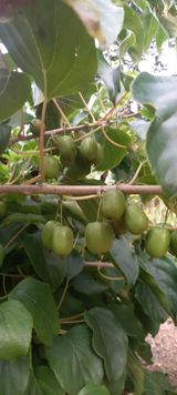 팜모닝 요즘 무엇에 관심있나요?·참여글 게시글 이미지