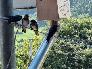 그린1505님의 자유주제 · 자유게시판 작성글 사진
