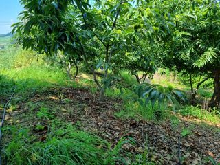 그린1505님의 자유주제 · 자유게시판 작성글 사진