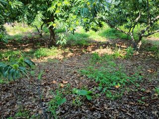 그린1505님의 자유주제 · 자유게시판 작성글 사진