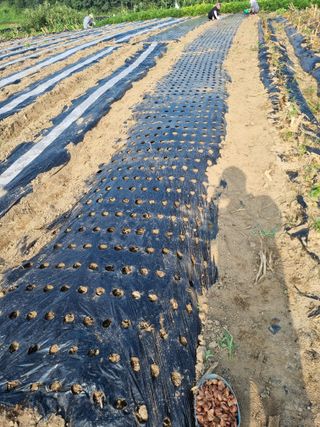 그린1505님의 자유주제 · 자유게시판 작성글 사진