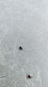 팜모닝 농사, 무엇이든 물어보세요!·참여글 게시글 이미지