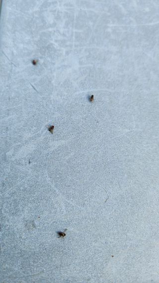 민완식님의 농사, 무엇이든 물어보세요! · 참여글 작성글 사진