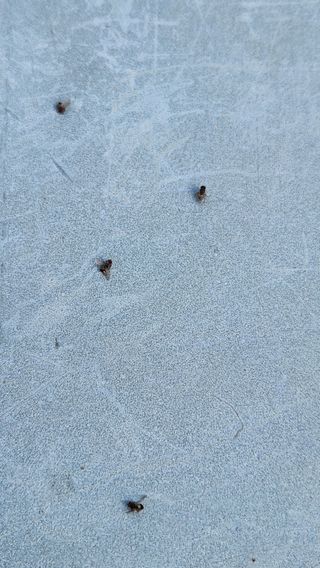 민완식님의 농사, 무엇이든 물어보세요! · 참여글 작성글 사진