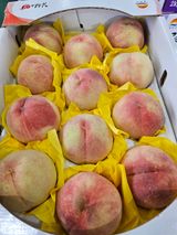 팜모닝 · 게시글 이미지