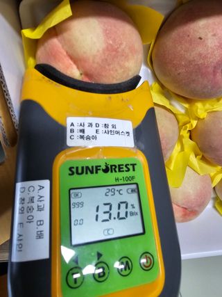 써니네님의 작성글 사진