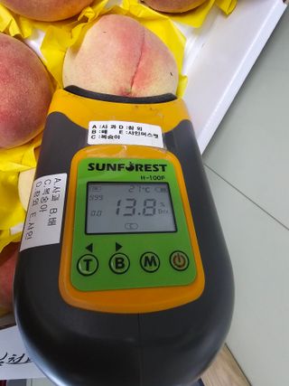 써니네님의 작성글 사진