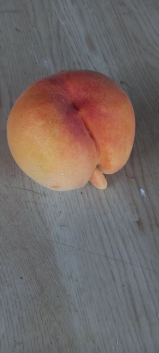 유종수님의 복숭아 · 영농일지 작성글 사진