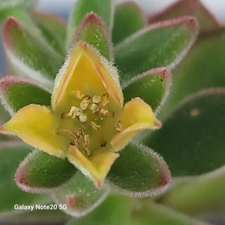 알 수 없음님의 자유주제 · 자유게시판 작성글 사진