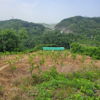 알 수 없음님의 자유주제 · 자유게시판 작성글 사진