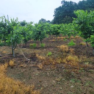 알 수 없음님의 자유주제 · 자유게시판 작성글 사진