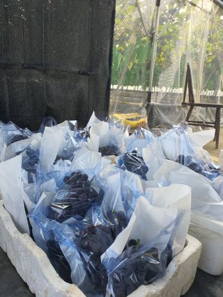 문순이님의 자유주제 · 자유게시판 작성글 사진