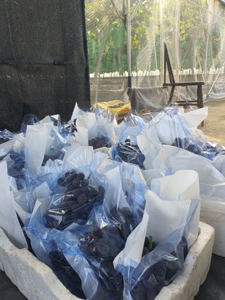 문순이님의 자유주제 · 자유게시판 작성글 사진