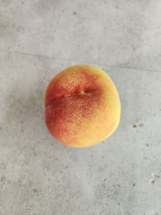 행복농원님의 자유주제 · 자유게시판 작성글 사진