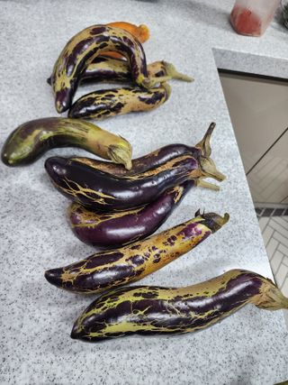 이정찬님의 기타작물 · 병해충상담 작성글 사진