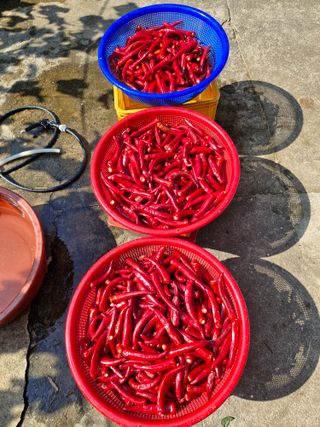 갈산구기자님의 요즘 무엇에 관심있나요? · 참여글 작성글 사진