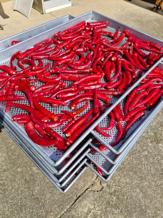 갈산구기자님의 요즘 무엇에 관심있나요? · 참여글 작성글 사진