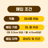 팜모닝 유통님의 팜모닝공식·판매신청 작성글 사진