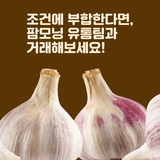 팜모닝 유통님의 팜모닝공식·판매신청 작성글 사진