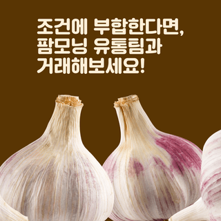 팜모닝 유통님의 팜모닝공식 · 판매신청 작성글 사진