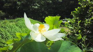 문해님의 자유주제 · 자유게시판 작성글 사진