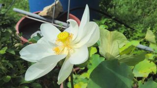 문해님의 자유주제 · 자유게시판 작성글 사진