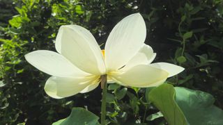 문해님의 자유주제 · 자유게시판 작성글 사진